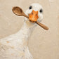 Full artwork of a white duck with an orange bill holding a wooden spoon against a textured beige background.