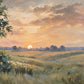 Meadow Sundown full artwork. The setting sun rests near a distant tree line, casting peach and golden light over rolling green fields.