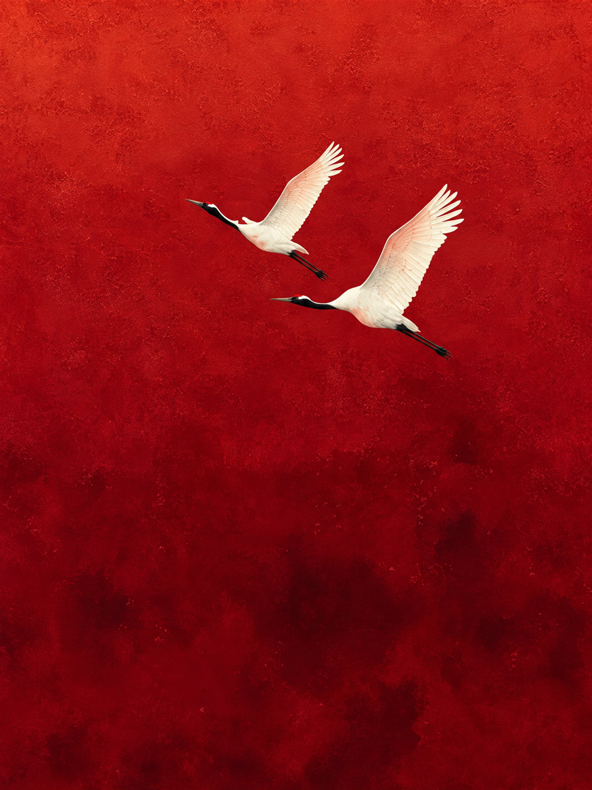 Crimson Flight full artwork. Two white cranes glide across a rich crimson field, their outstretched wings creating a light diagonal rhythm.