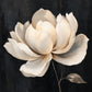 Ivory Magnolia full artwork. A large ivory blossom opens against a deep charcoal background, its layered petals catching soft cream and beige highlights.