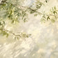 Dappled Branches full artwork. Slender leafy branches stretch across a pale surface washed with dappled sunlight and soft shadows.