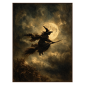 Moonshadow Flight Wall Art