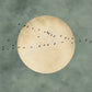 Sage Moonrise full artwork. A small flock crosses a large pale moon suspended in a muted sage sky.