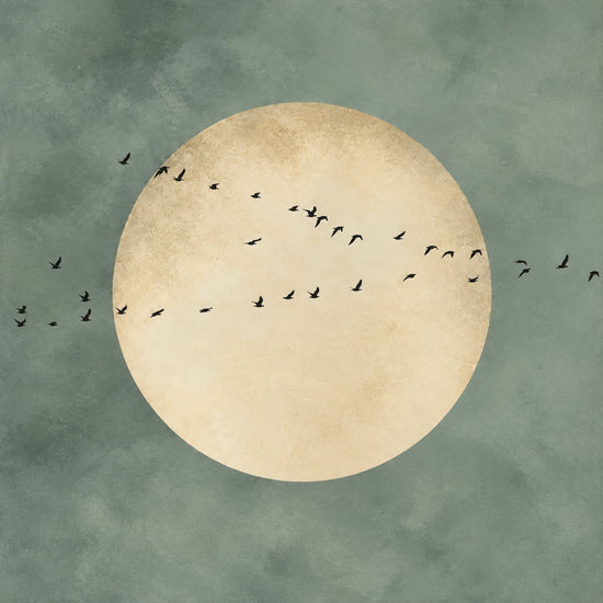 Sage Moonrise full artwork. A small flock crosses a large pale moon suspended in a muted sage sky.