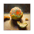 Citrus Peel Wall Art