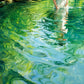 Emerald Ripples full artwork. Sunlit green water ripples around a swimmer, with pale reflections and fluid turquoise patterns moving across the surface.