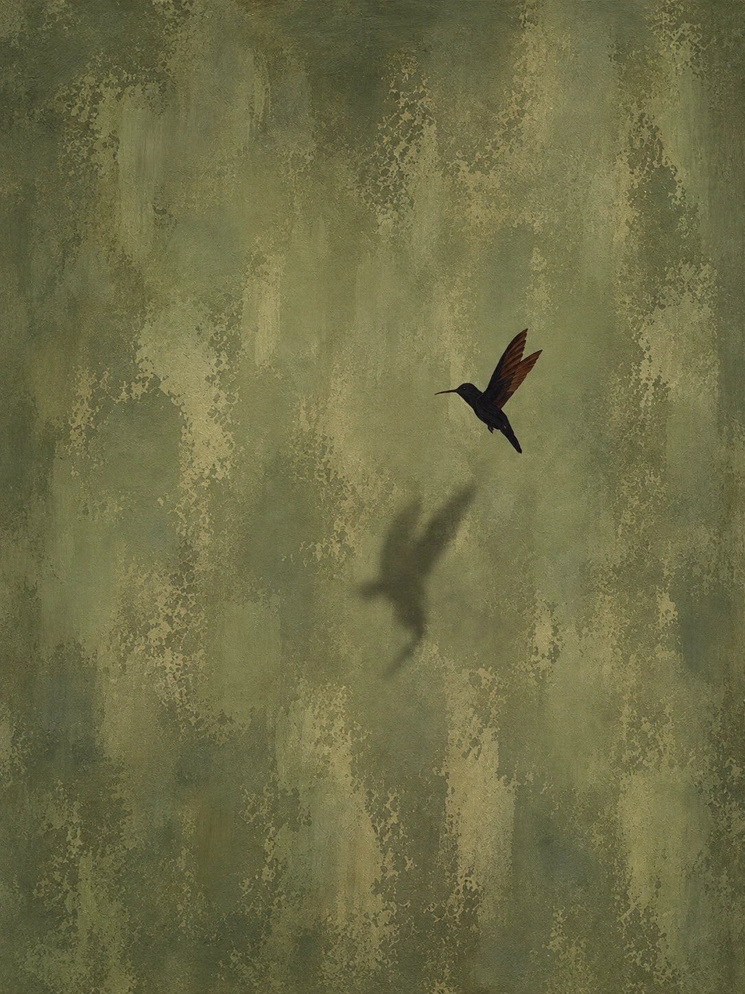 Olive Hover full artwork. A small hummingbird hovers against a textured olive-green ground, casting a soft shadow below.