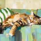 Sofa Slumber full artwork. A tabby cat stretches across a turquoise sofa beside a green-striped cushion.