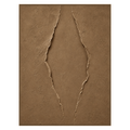 Earthen Fissure Wall Art