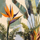 Tropical Flourish full artwork. A vivid bird-of-paradise flower rises among broad tropical leaves and delicate fern fronds.